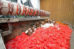 2011-07-31_001_Gartenfest_KBV_TF