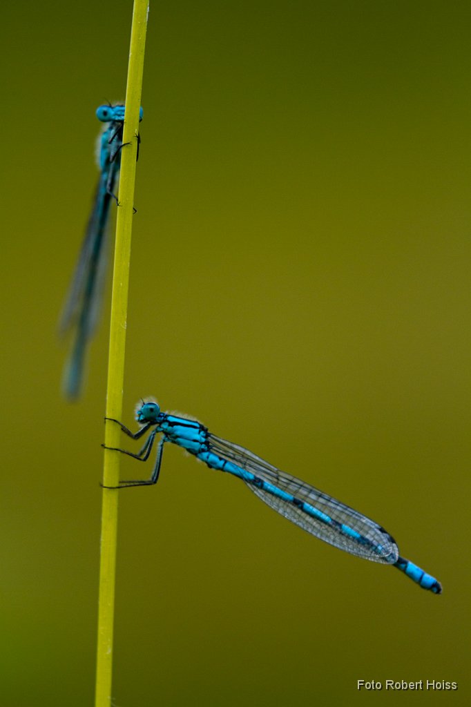 2011-07-31_010_Impressionen_0856_RH.jpg