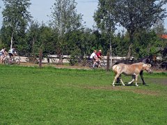 2011-08-14_065_Moasawinkler-Radltour-Maisachmuendung_TF