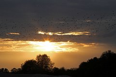 2011-08-14_174_Moasawinkler-Radltour-Maisachmuendung_TF