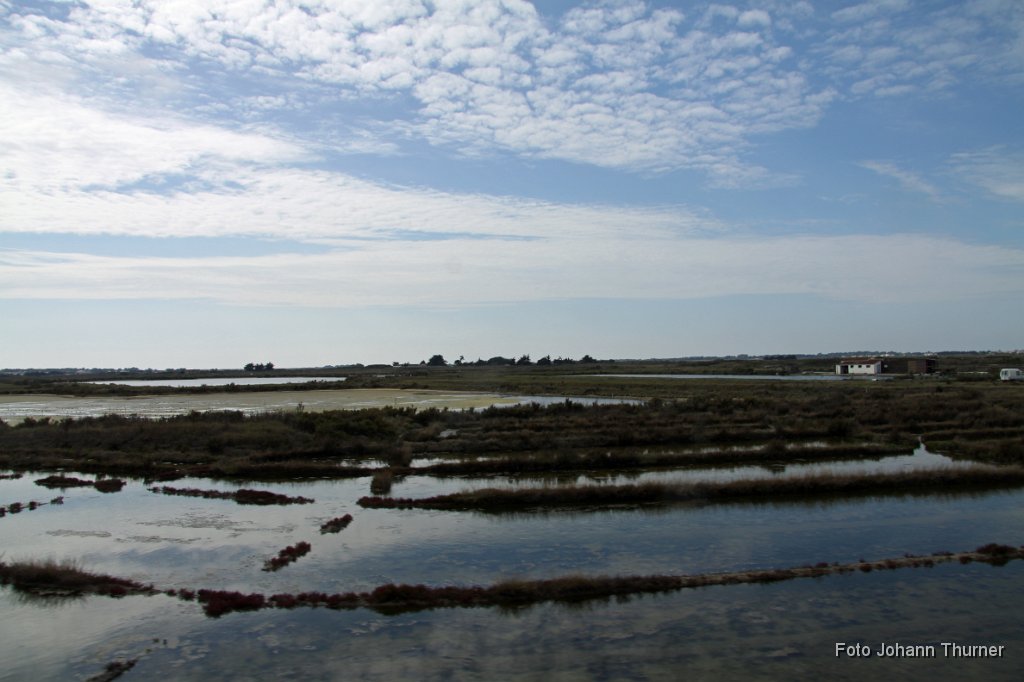 2011-09-03_075_Brem-sur-Mer_JT.JPG