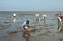 2011-09-03_068_Brem-sur-Mer_JT