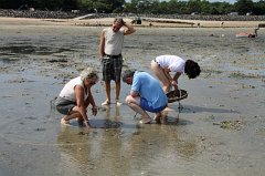 2011-09-03_070_Brem-sur-Mer_JT