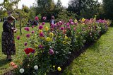 2011-09-25_42_Gartentag_Adelshofen_5653_RH