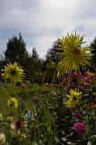 2011-09-25_43_Gartentag_Adelshofen_5654_RH