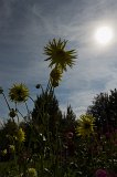 2011-09-25_44_Gartentag_Adelshofen_5655_RH