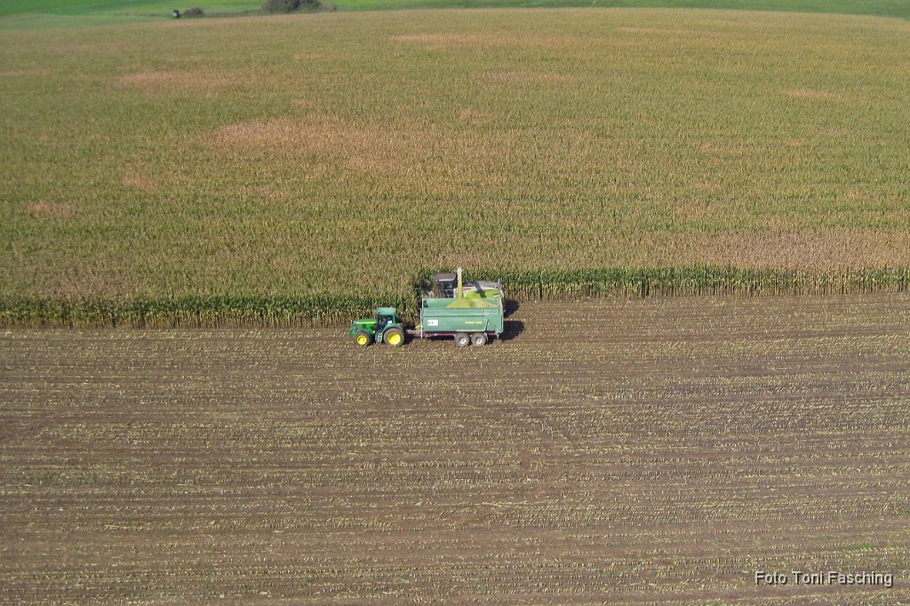 2011-10-03_03_Maisernte_TF.JPG