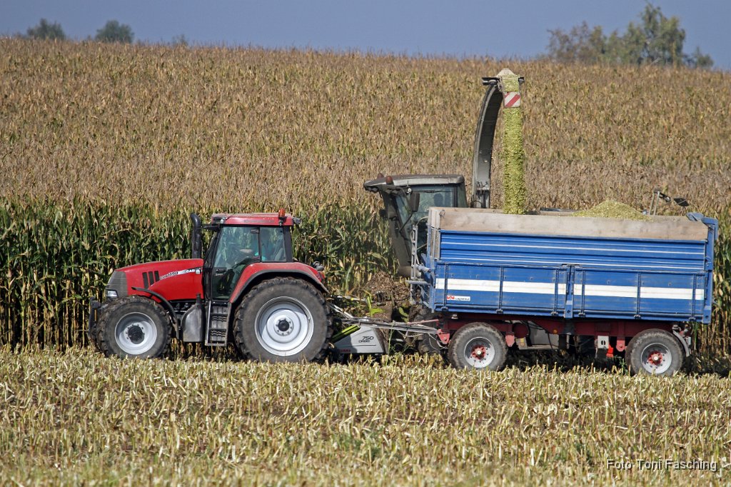2011-10-03_04_Maisernte_TF.JPG