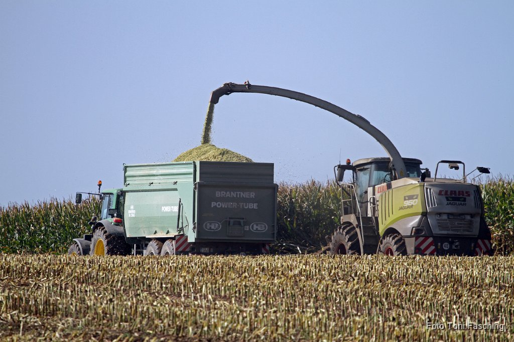 2011-10-03_05_Maisernte_TF.JPG
