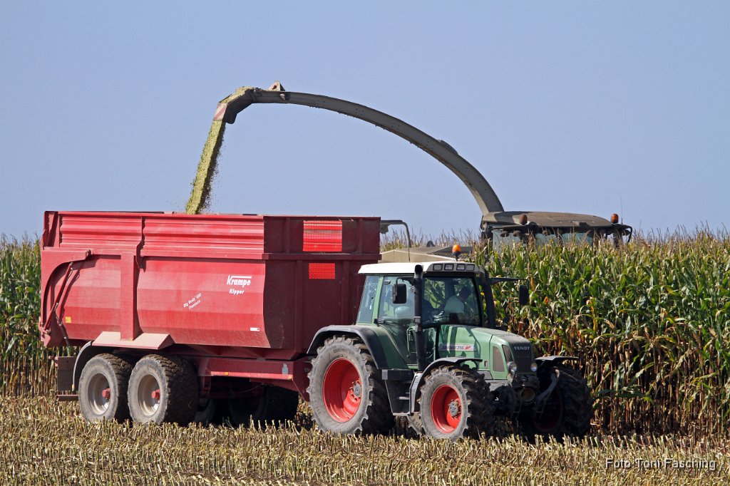 2011-10-03_07_Maisernte_TF.JPG