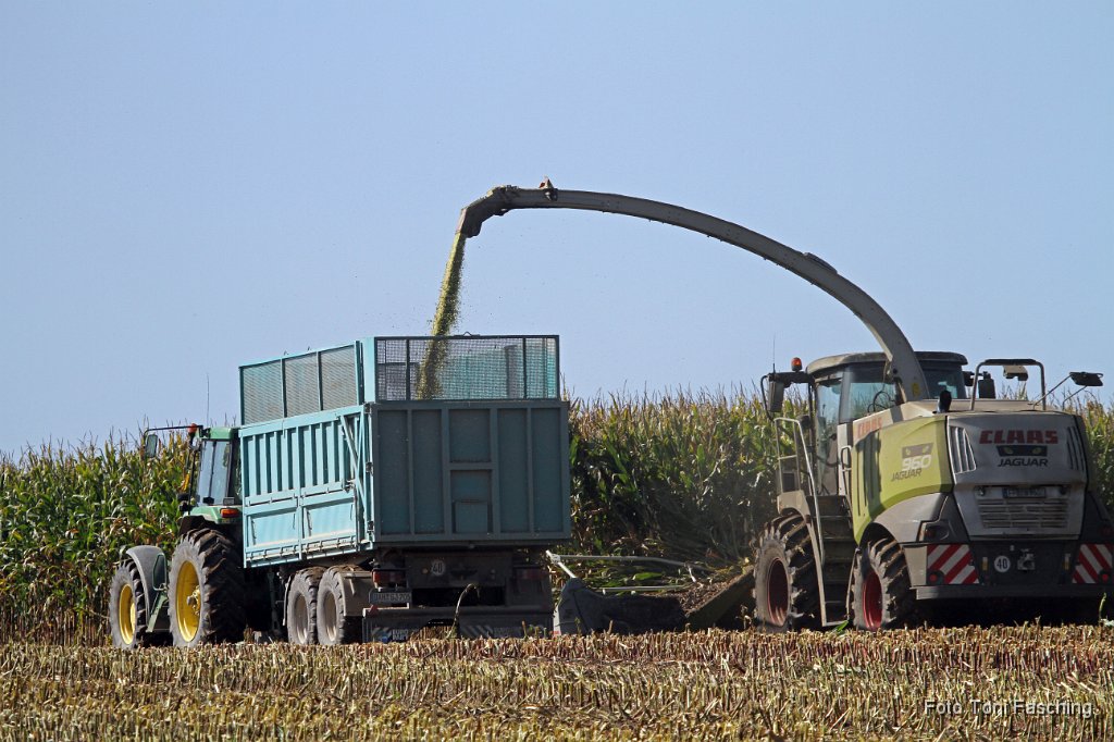 2011-10-03_11_Maisernte_TF.JPG