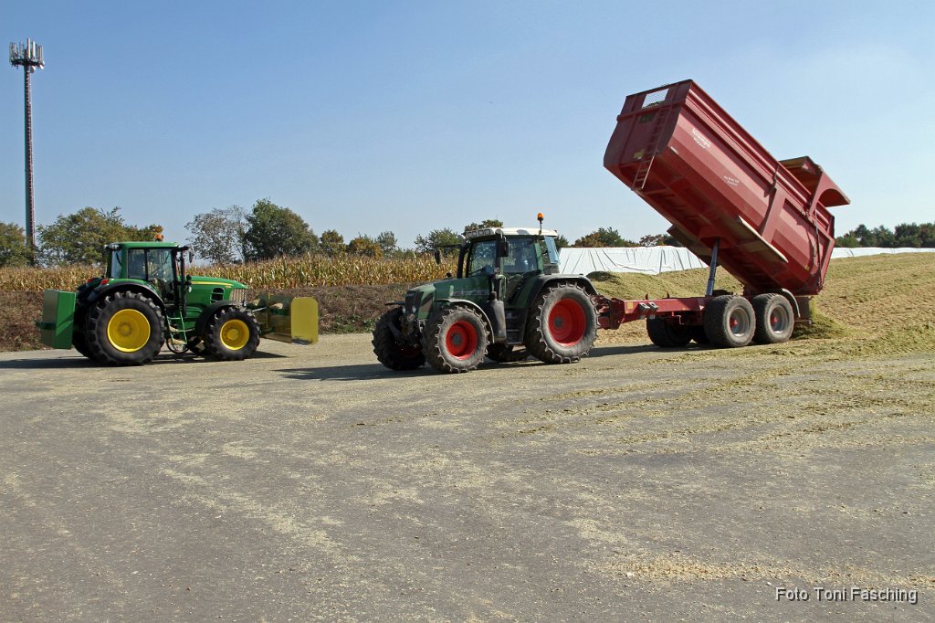 2011-10-03_21_Maisernte_TF.JPG