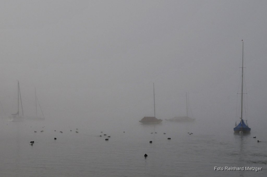 2011-10-31_01_Herbst_1_RM.jpg