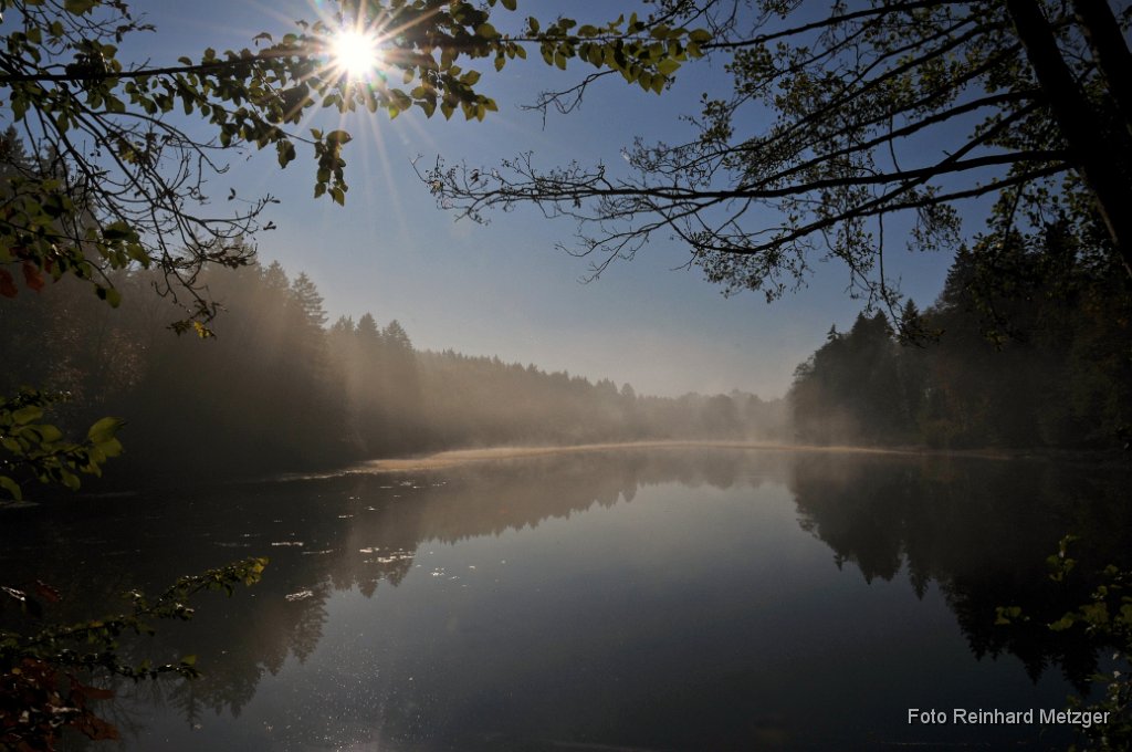 2011-10-31_03_Herbst_3_RM.jpg