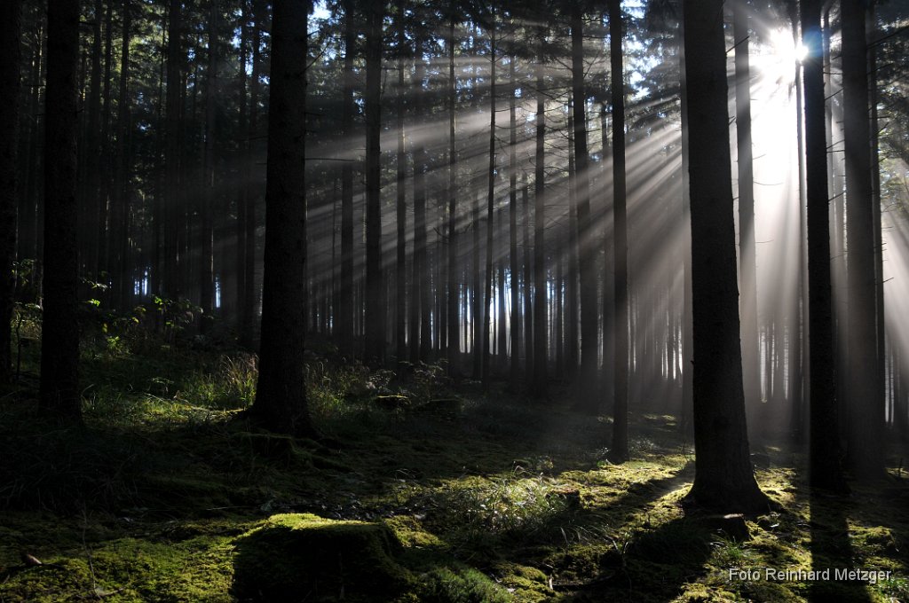 2011-10-31_04_Herbst_4_RM.jpg
