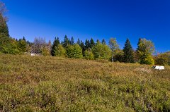 2011-10-01_02_Bayer_Wald_Lindbergschachten_6025_RH