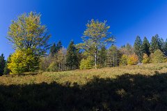 2011-10-01_03_Bayer_Wald_Lindbergschachten_6030_RH