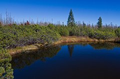 2011-10-01_07_Bayer_Wald_Zwieselter_Filz_6053_RH