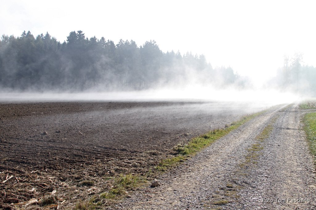 2011-10-23_Bodennebel_TF.JPG