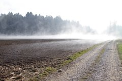 2011-10-23_Bodennebel_TF