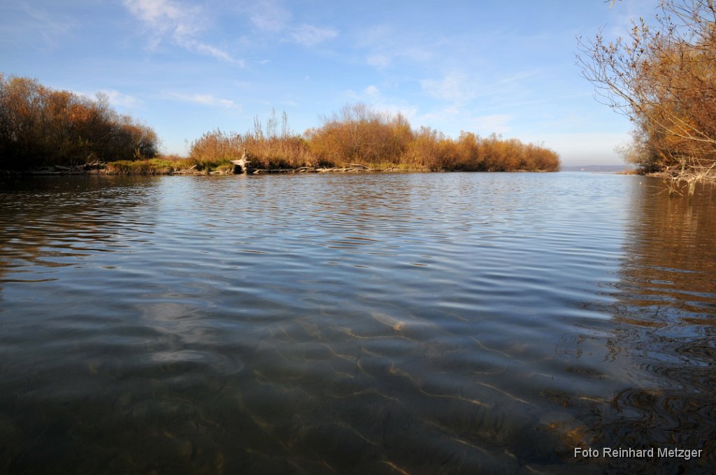 2011-11-08_03_Ammermuendung.jpg