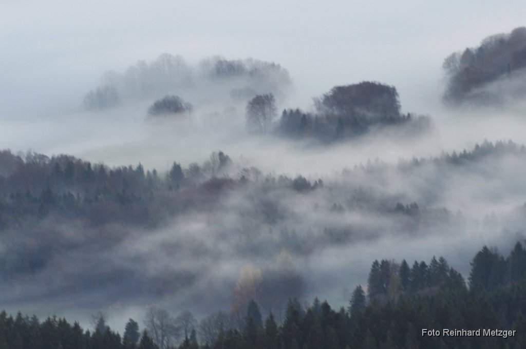 2011-11-12_11_Feichteck_Nebel.jpg