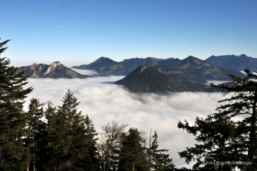 2011-11-16_30_Wildbarren_Chiemgauer-Berge_RM.jpg