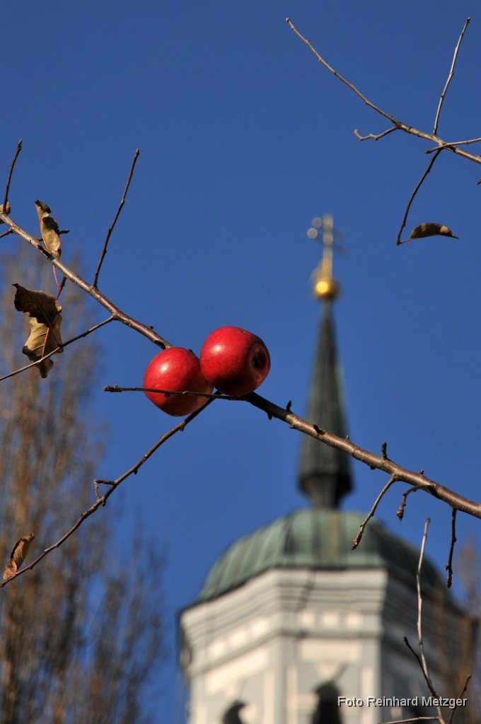 2011-11-28_39_Nikolaus-Aepfel_RM.jpg