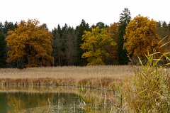 2011-11-30_03_Ostersee_8114_RH