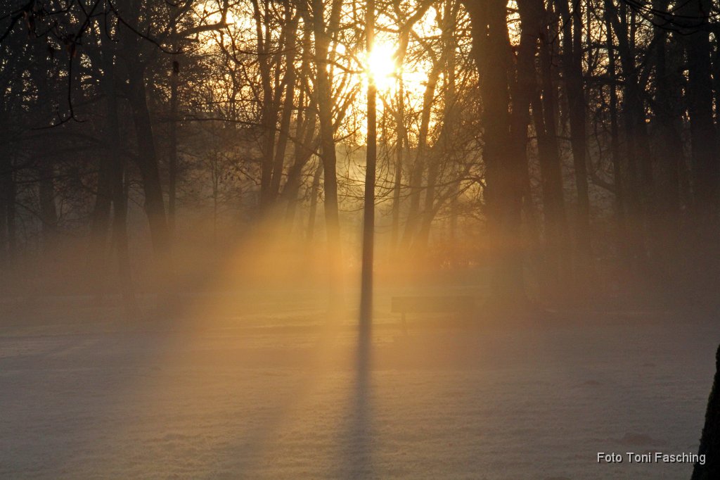 2011-11-18_05_Morgennebel_Englischer-Garten.JPG