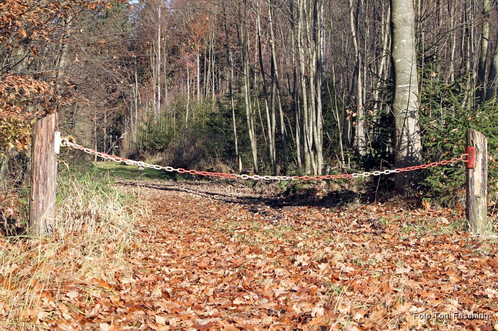 2011-11-27_02_Herbst_Nannhofen.JPG
