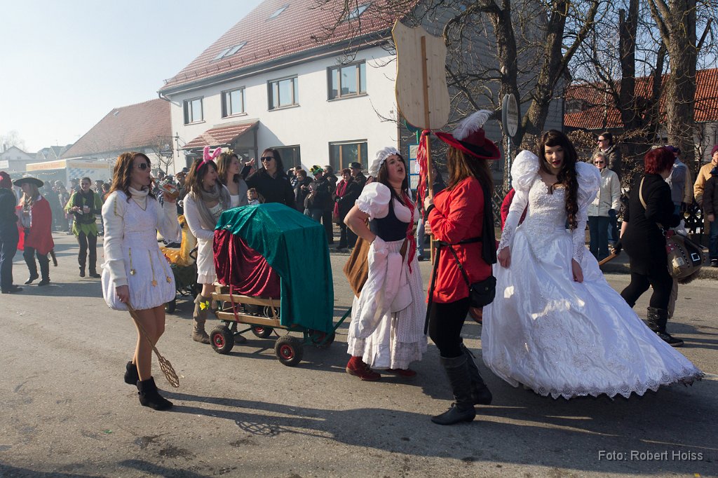 2012-02-21_101_Faschingszug_4180_RH.jpg