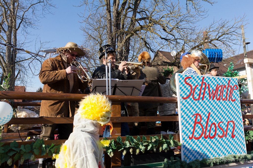 2012-02-21_112_Faschingszug_4204_RH.jpg