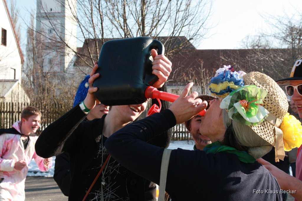 2012-02-21_114_Faschingszug-Obst-_und_Gartenbauverein_KB.jpg