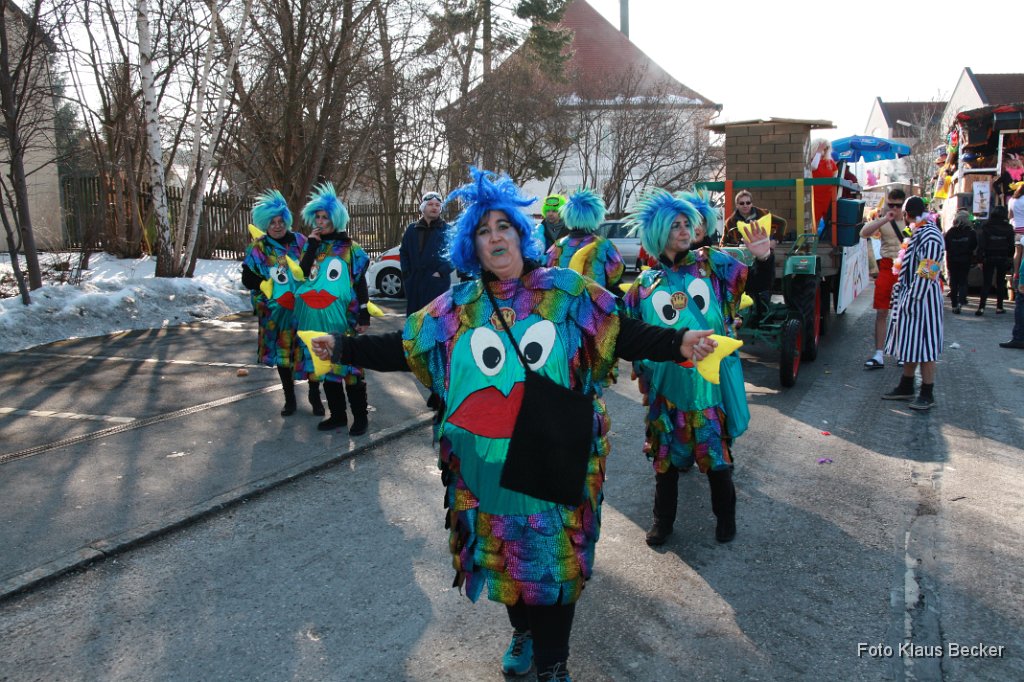 2012-02-21_119_Faschingszug-Obst-_und_Gartenbauverein_KB.jpg