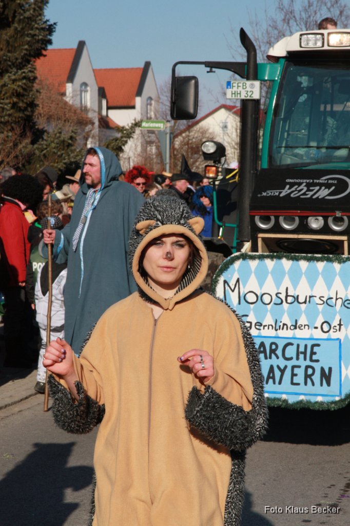 2012-02-21_139_Faschingszug-Obst-_und_Gartenbauverein_KB.jpg