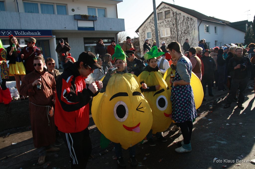 2012-02-21_143_Faschingszug-Obst-_und_Gartenbauverein_KB.jpg