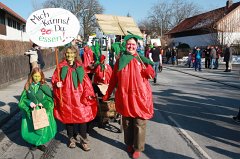 2012-02-21_103_Faschingszug-Obst-_und_Gartenbauverein_KB