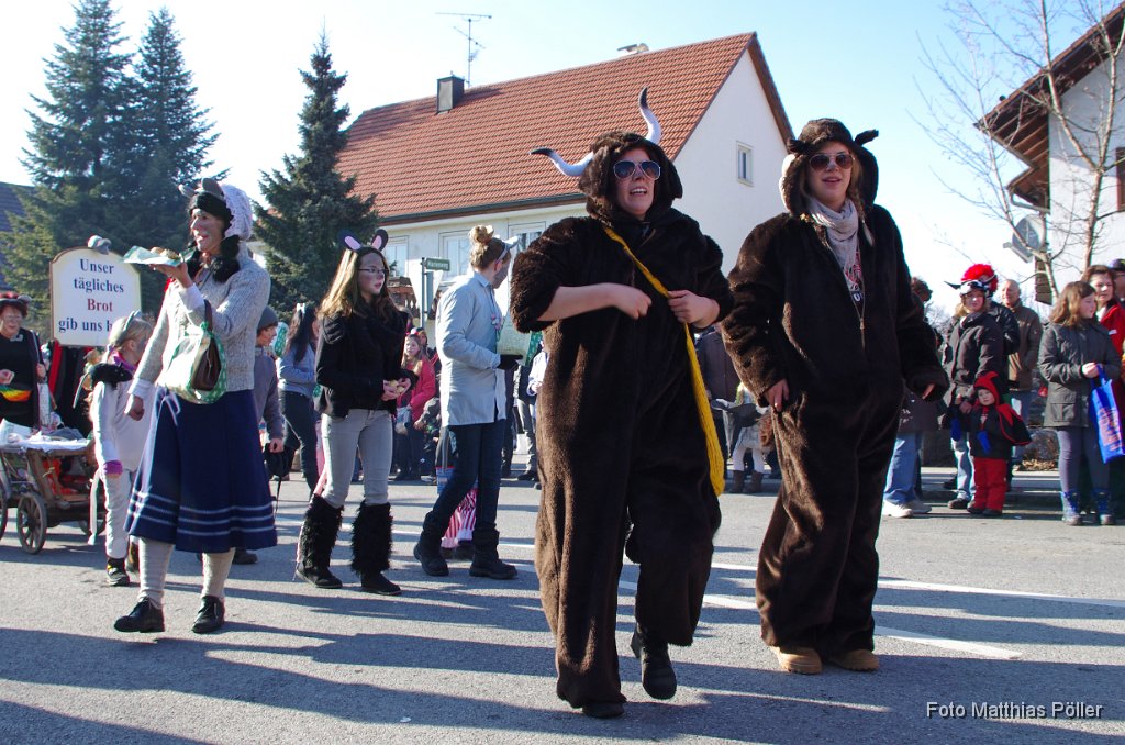 2012-02-21_024_Faschingzug_MP.JPG