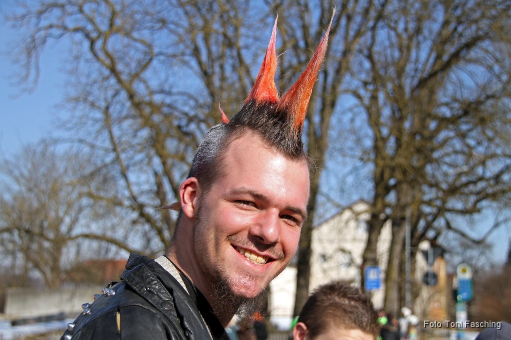 2012-02-21_001_Faschingszug_TF.JPG