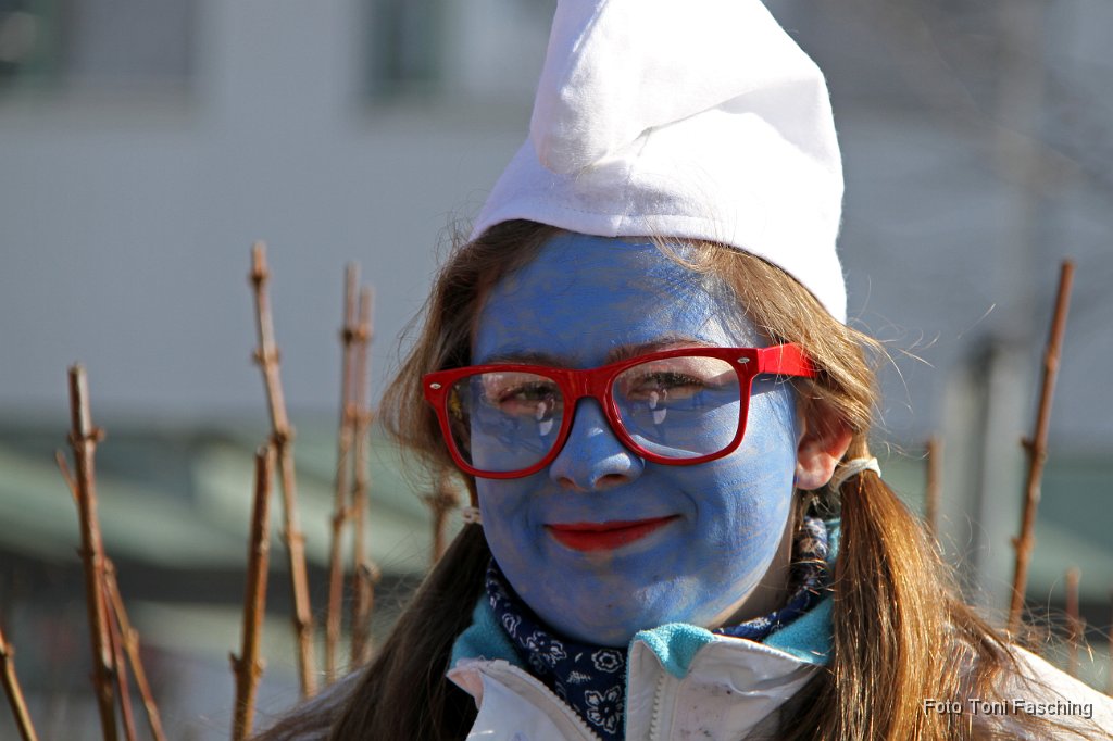 2012-02-21_003_Faschingszug_TF.JPG