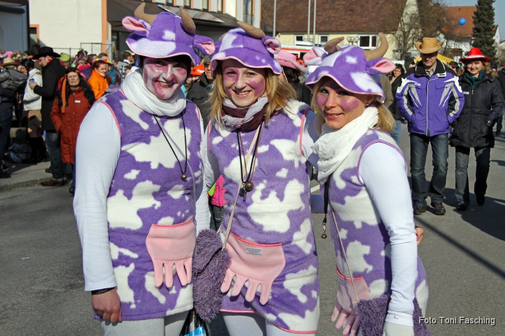 2012-02-21_004_Faschingszug_TF.JPG