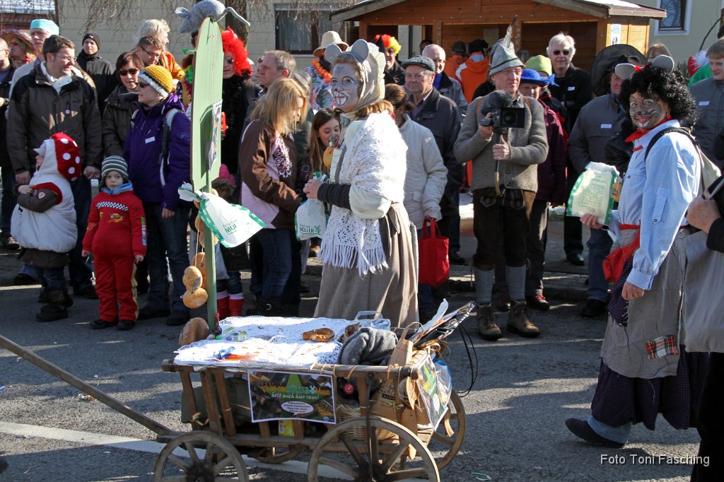 2012-02-21_030_Faschingszug_TF.JPG