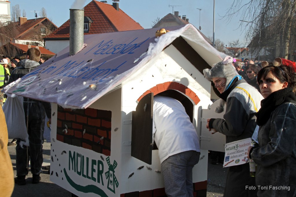 2012-02-21_037_Faschingszug_TF.JPG