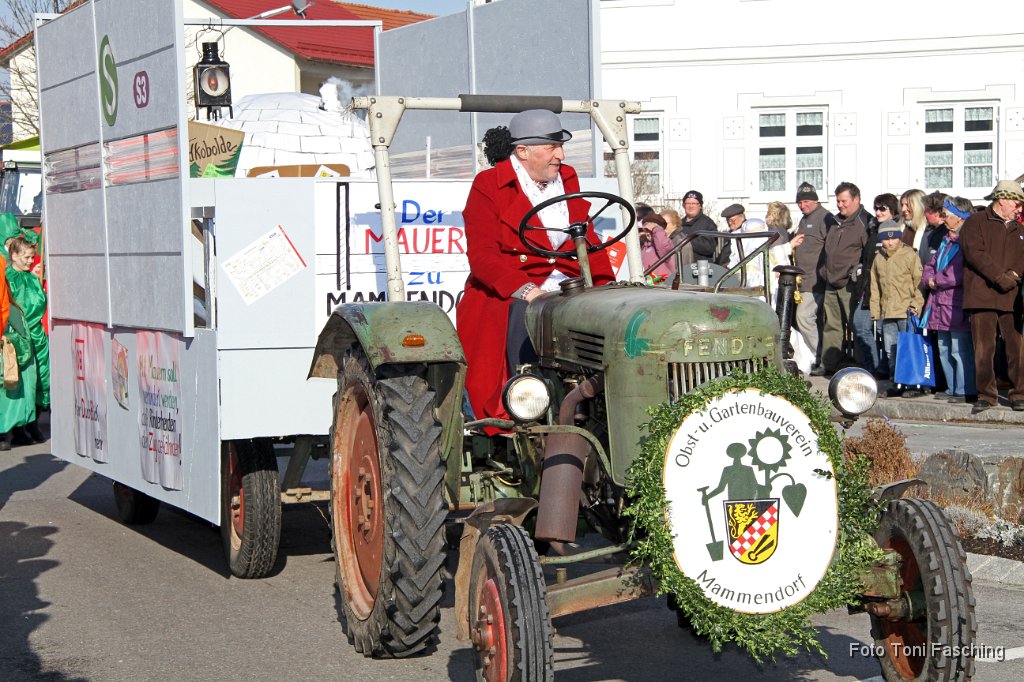 2012-02-21_044_Faschingszug_TF.JPG