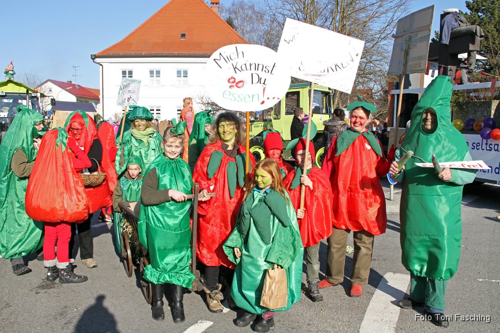 2012-02-21_046_Faschingszug_TF.JPG