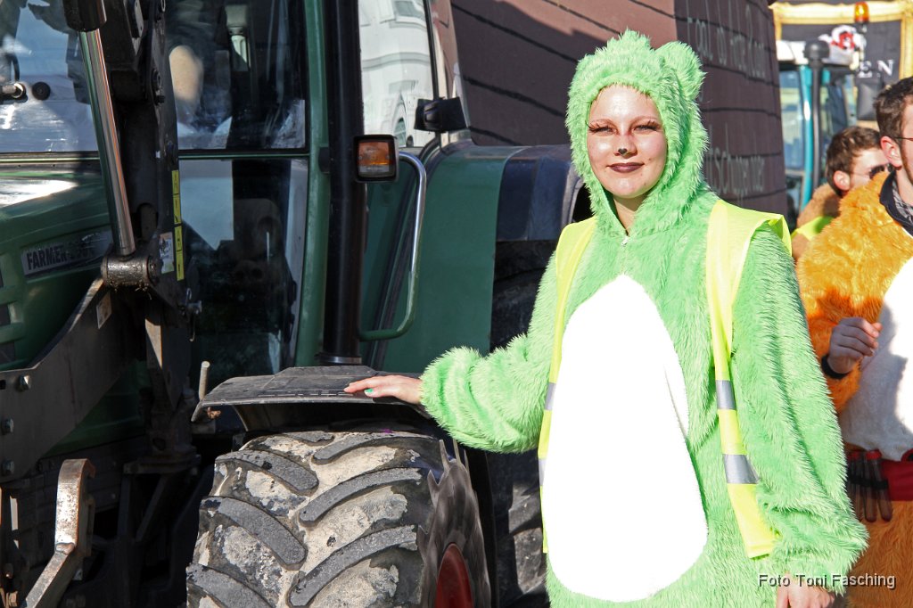 2012-02-21_051_Faschingszug_TF.JPG