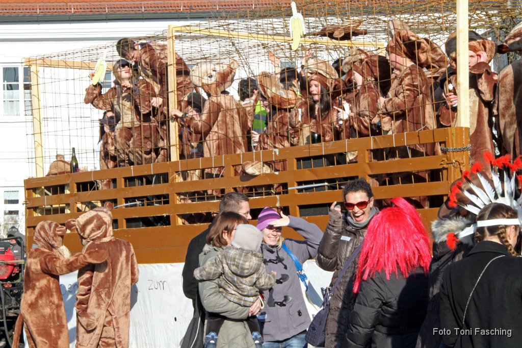 2012-02-21_061_Faschingszug_TF.JPG