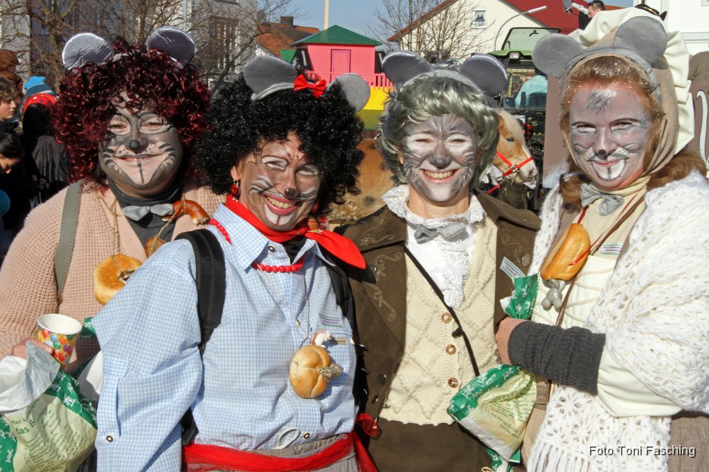 2012-02-21_066_Faschingszug_TF.JPG