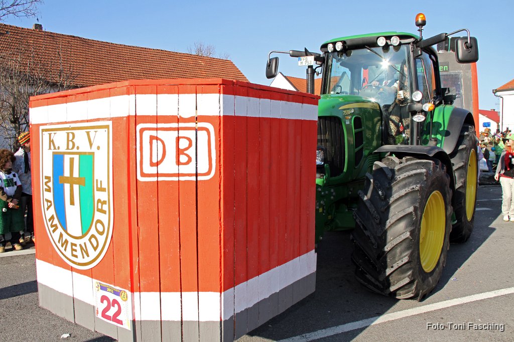 2012-02-21_072_Faschingszug_TF.JPG